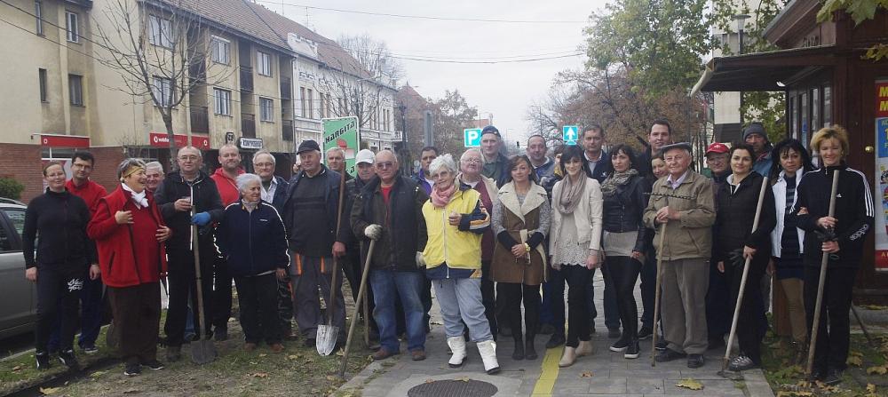 Rózsaültetés a Petőfi úton